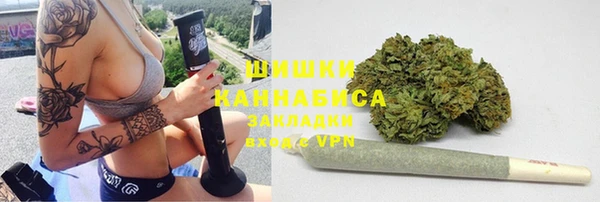 прущие грибы Беломорск