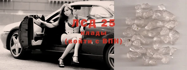 прущие грибы Беломорск