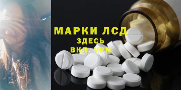 прущие грибы Беломорск