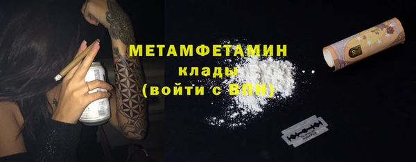прущие грибы Беломорск