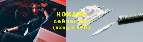mdpv Белокуриха