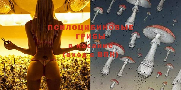 прущие грибы Беломорск