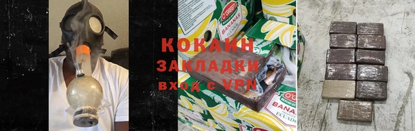 прущие грибы Беломорск