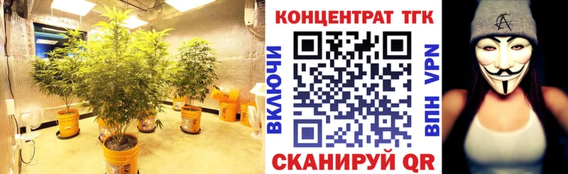 ТГК жижа  omg   Волчанск 