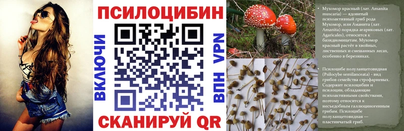 Псилоцибиновые грибы мицелий  Волчанск 
